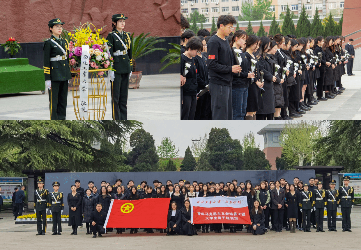 圖片3 烈士陵園憑吊英烈.png