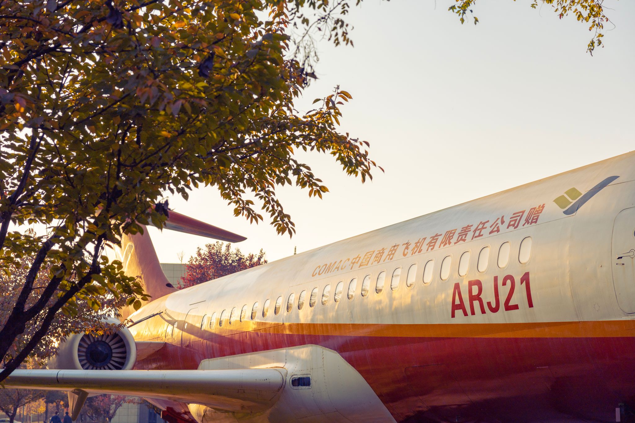 盧迪 (11).jpg undefined