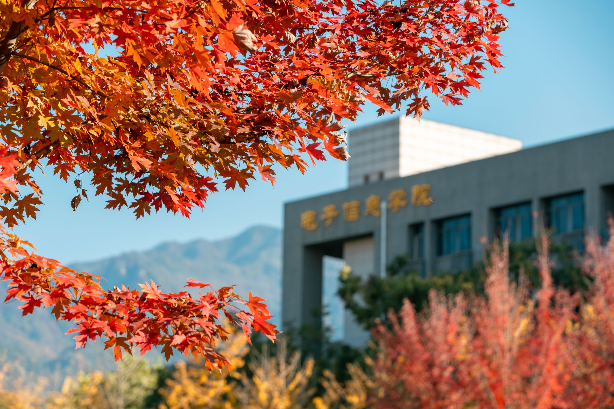 盧迪 (9).jpg undefined