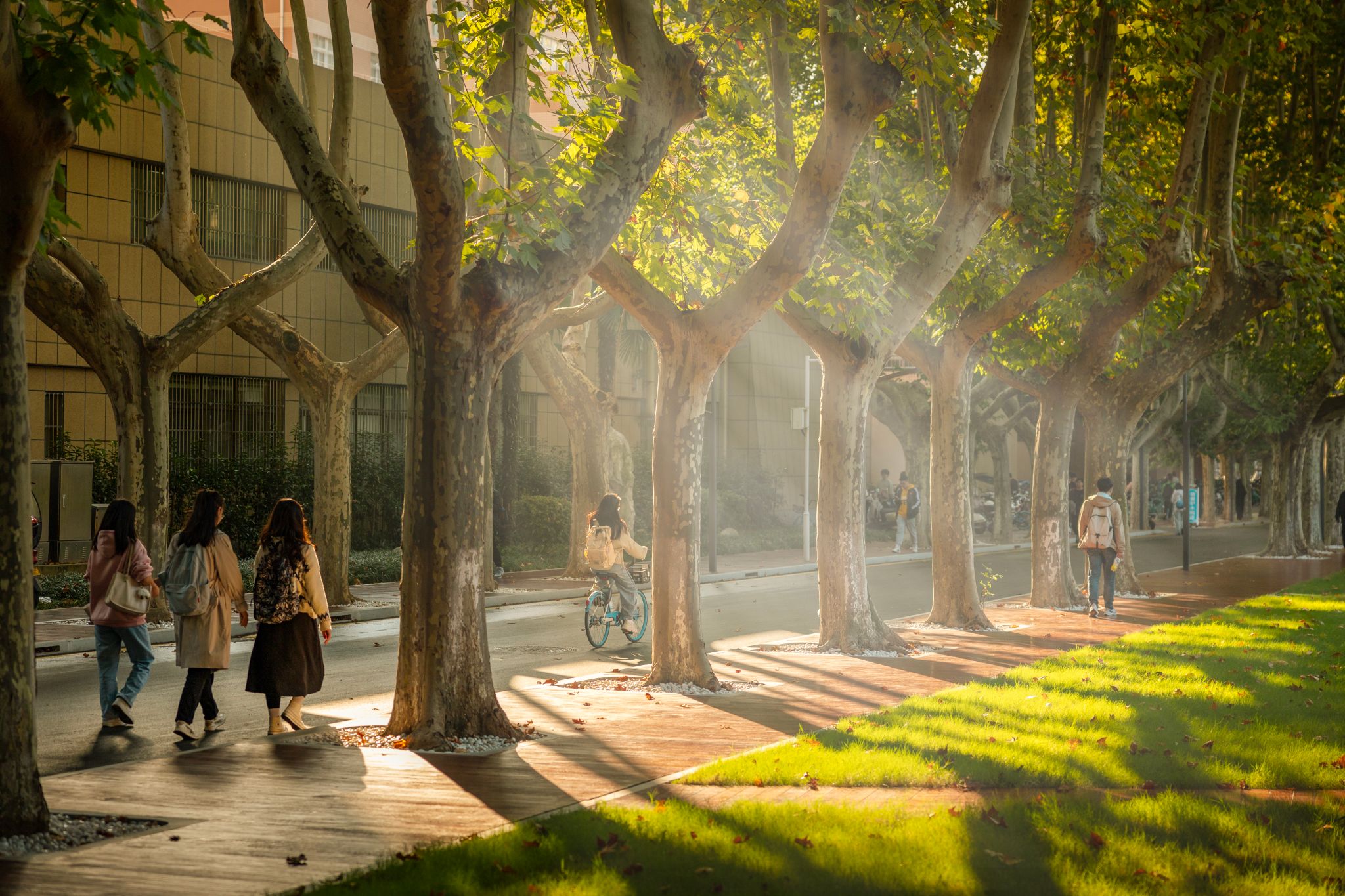 盧迪 (1).jpg undefined