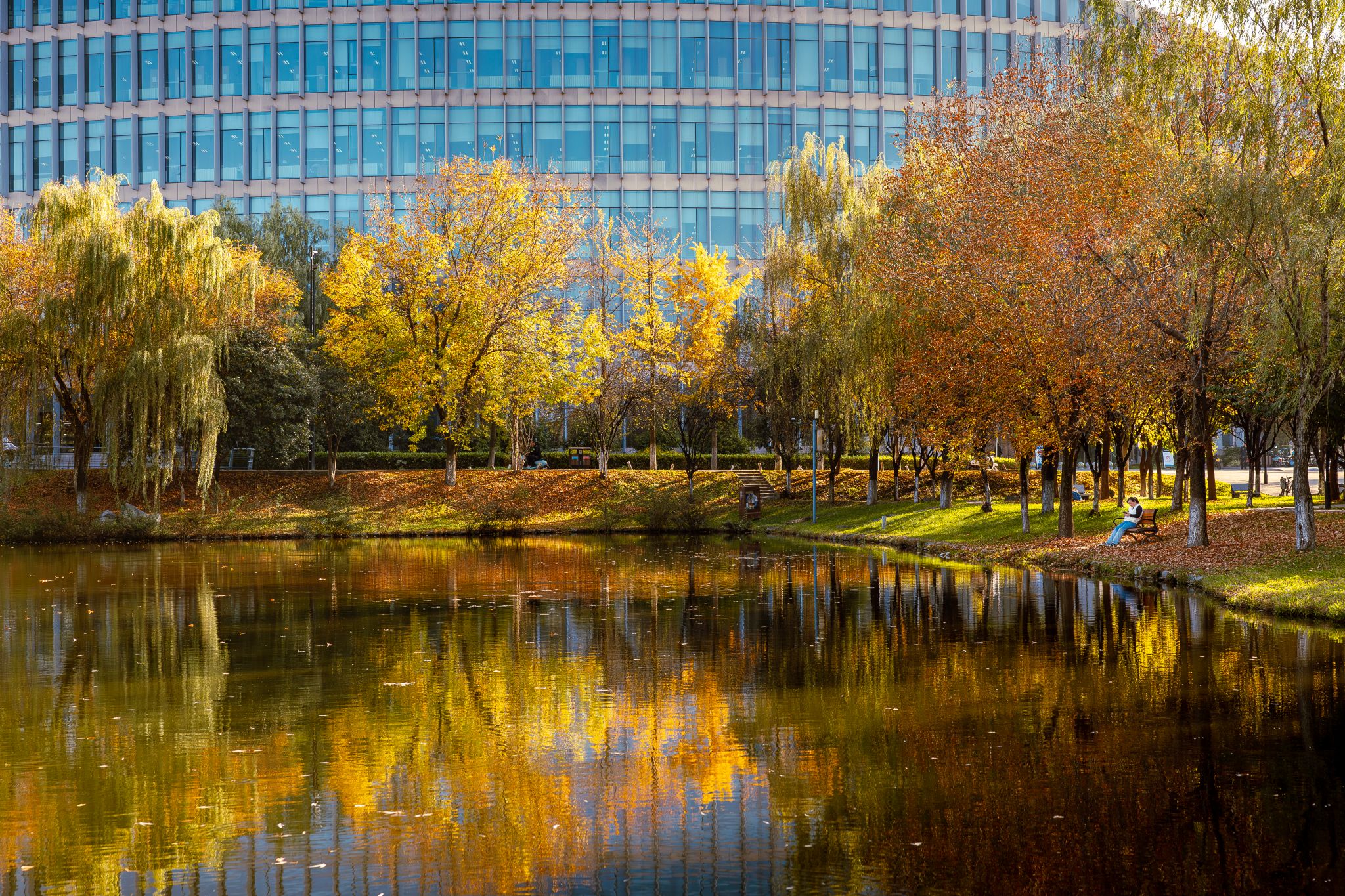 盧迪 (4).jpg undefined