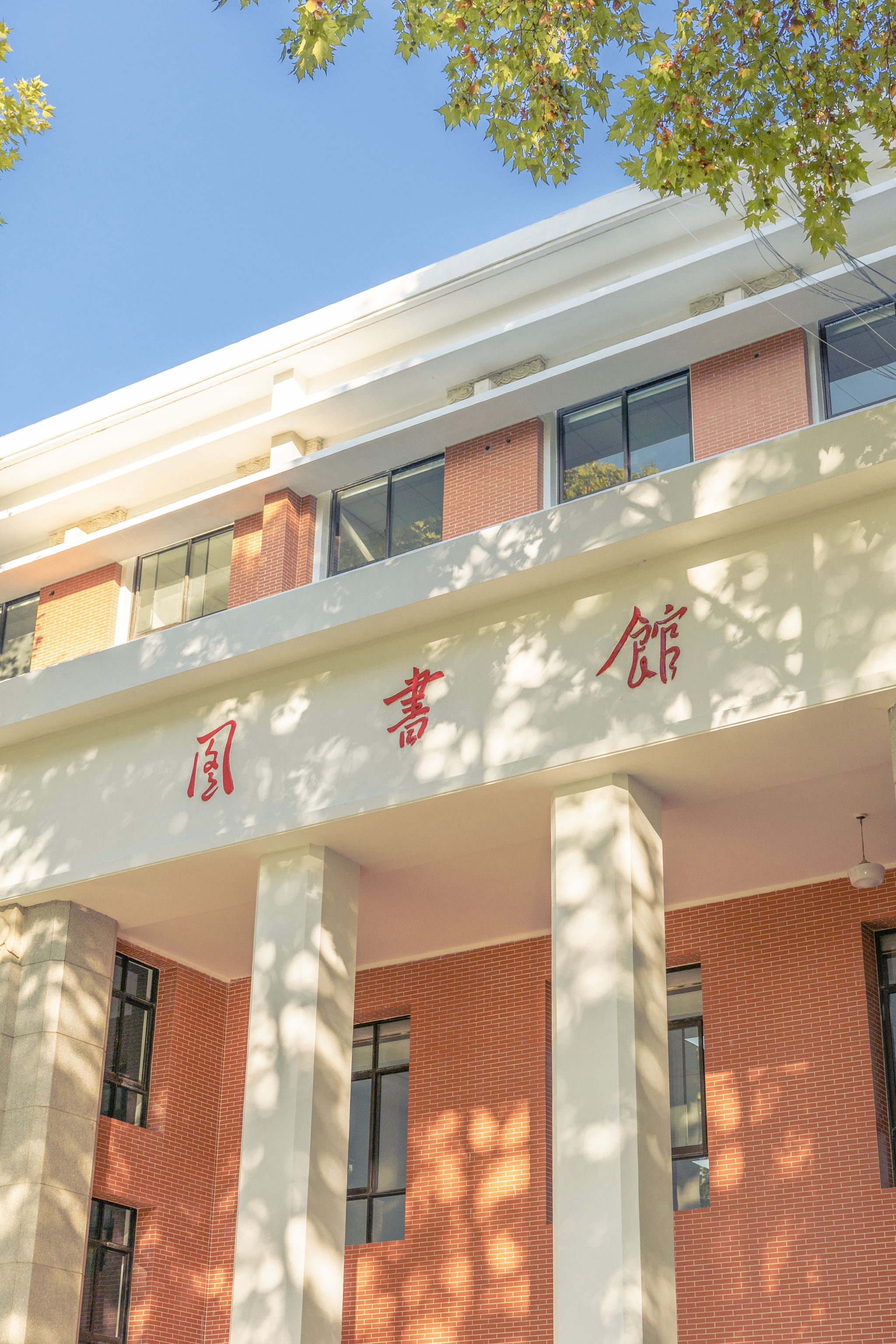 盧迪 (2).jpg undefined