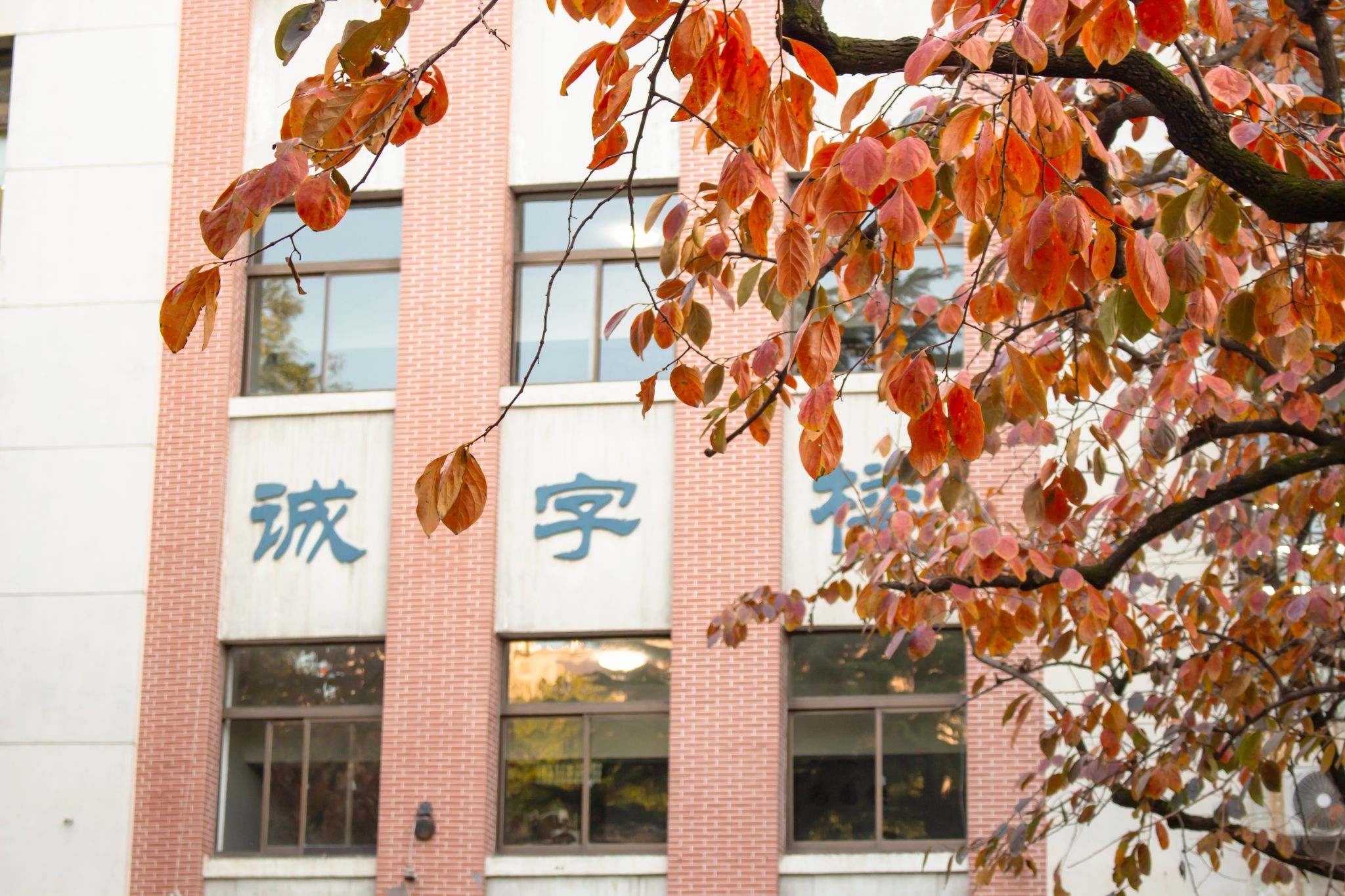 王樂宇 (3).jpg undefined