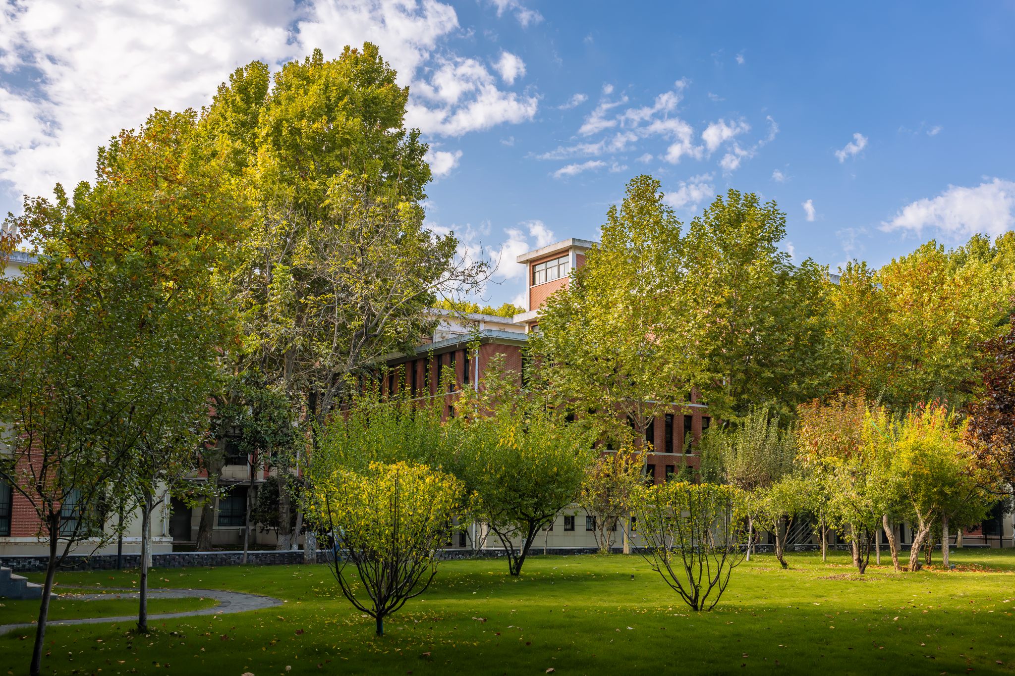 盧迪 (12).jpg undefined